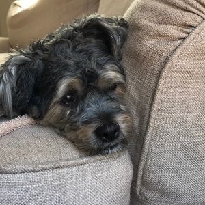 Meet your Posher, Kristine